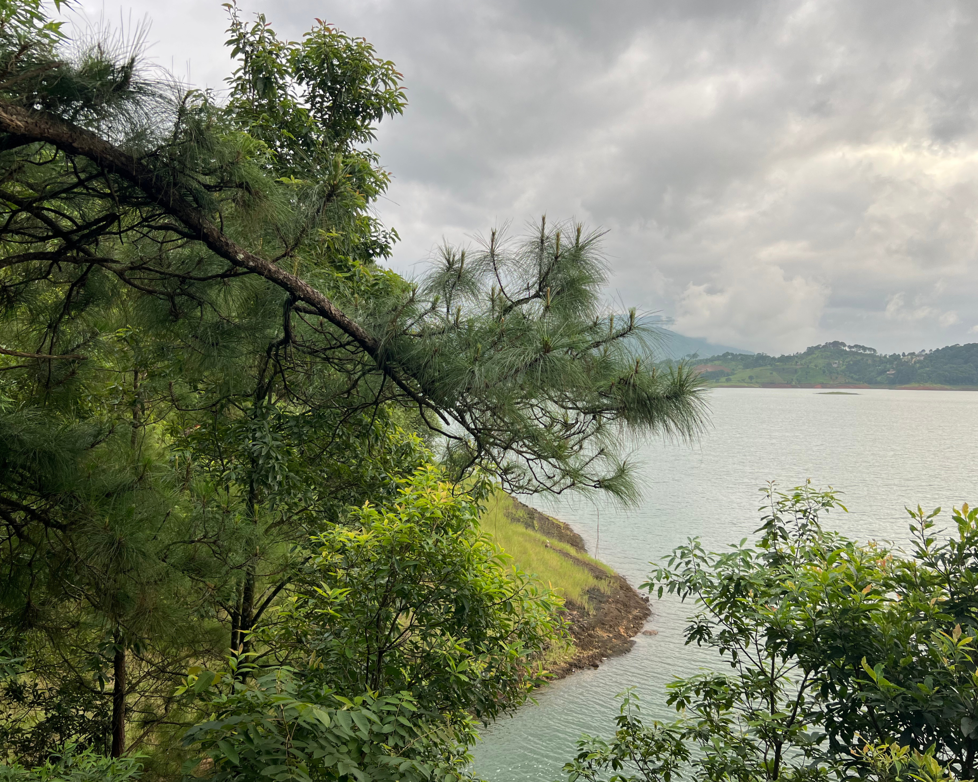 Greenish Cyan Textured Background Torn Photo Frame Moments Memories Photo Collage (9)